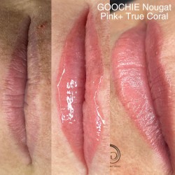 Goochie Water-Based Pigment 10ml - Nougat Pink 2